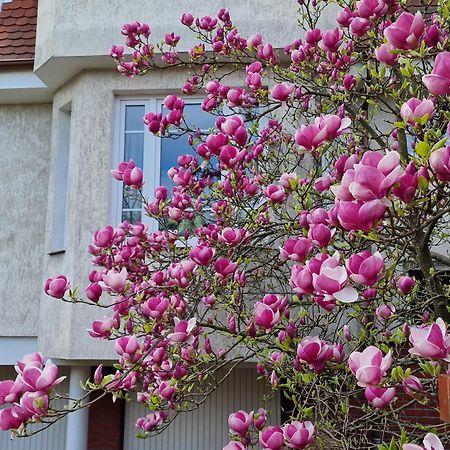 Apartament Magnolia Sopot Luaran gambar