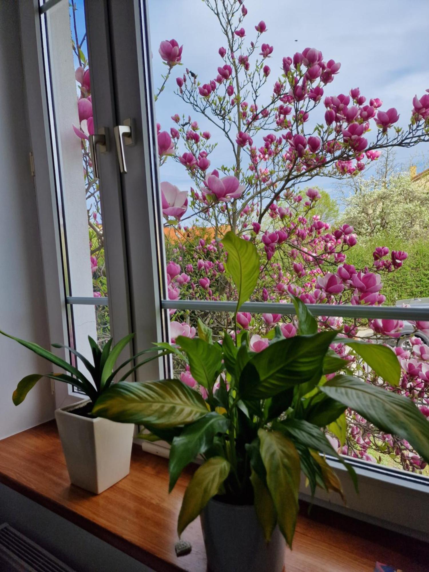 Apartament Magnolia Sopot Luaran gambar